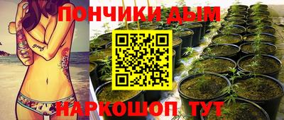 сатива Моздок