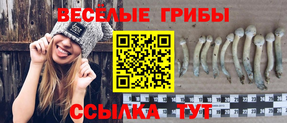 Псилоцибиновые грибы мицелий  Псилоцибиновые грибы мухоморы  Чусовой  Вход с VPN 